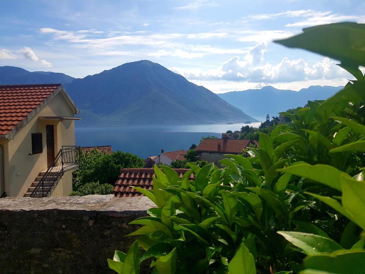 Guest House Maza Kotor Exterior foto