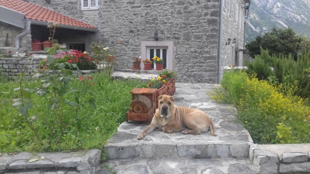 Guest House Maza Kotor Exterior foto