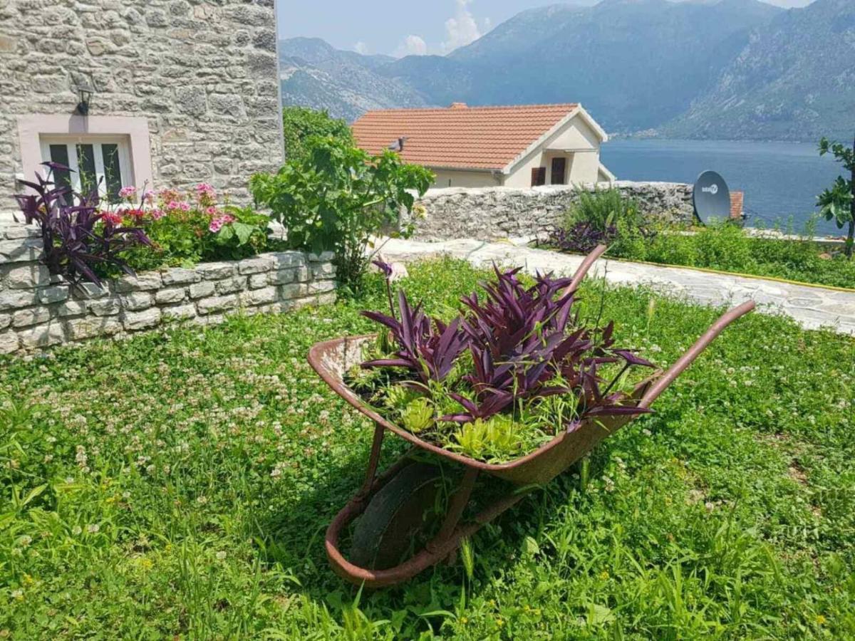 Guest House Maza Kotor Exterior foto