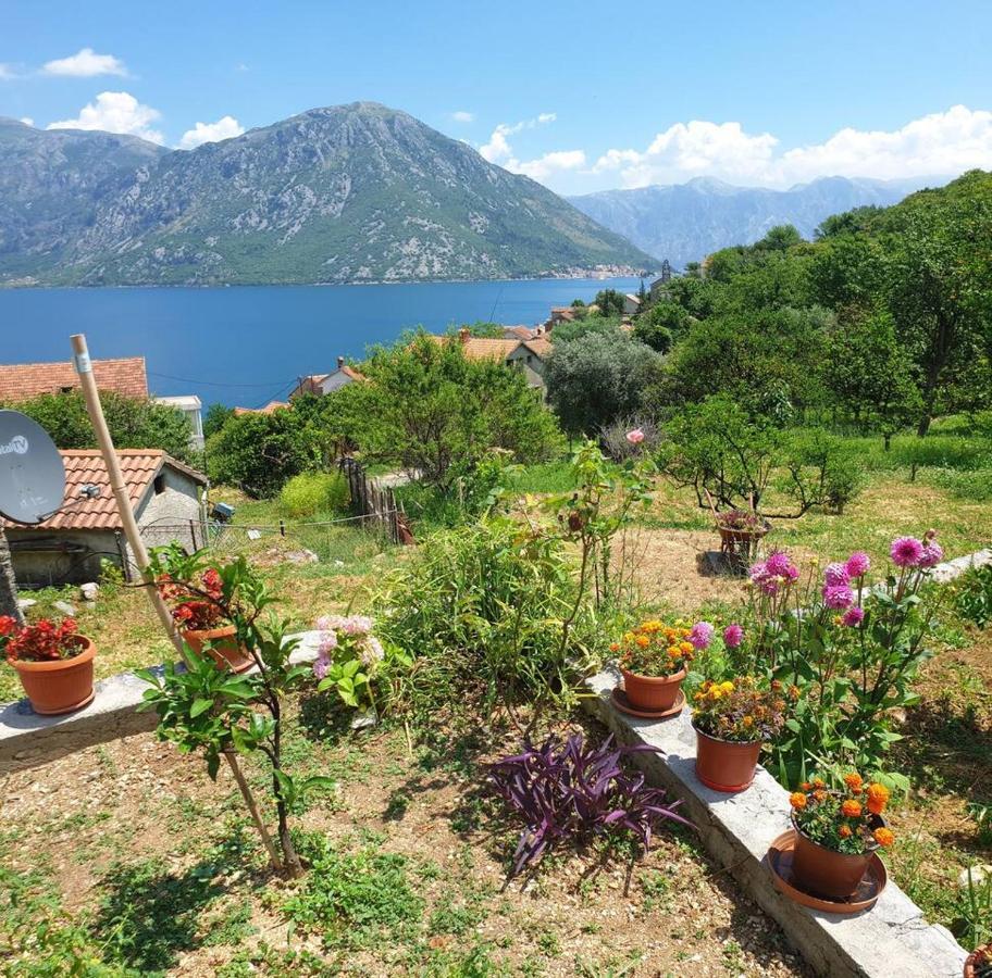 Guest House Maza Kotor Exterior foto