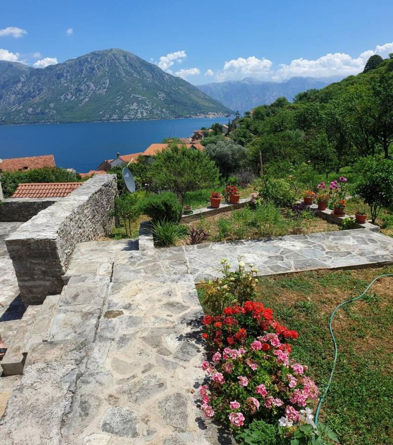 Guest House Maza Kotor Exterior foto