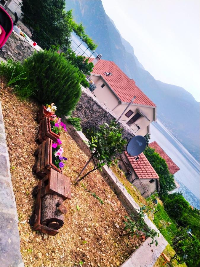 Guest House Maza Kotor Exterior foto